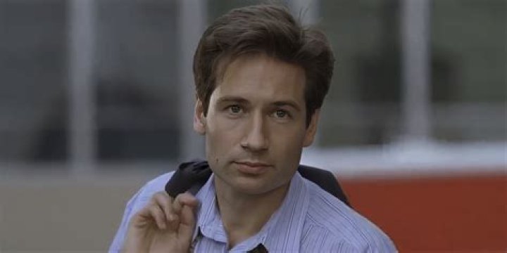 David Duchovny: Iconic Roles and More